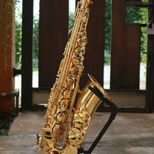 Jual zeff France alto saxophone gold zas 600 Jakarta Selatan