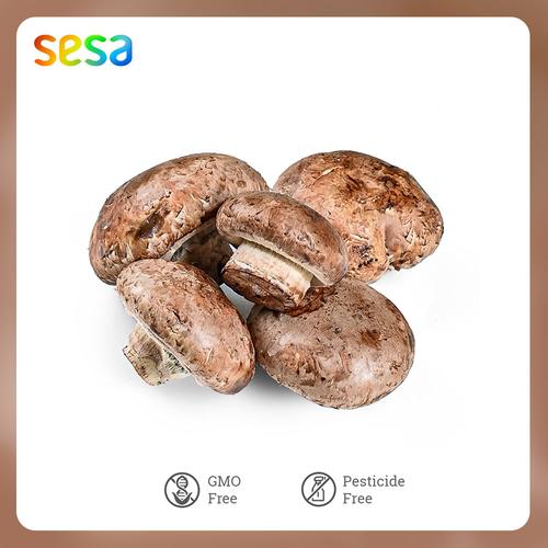 Foto Produk Jamur Portabela Natural /200g dari SESA Official