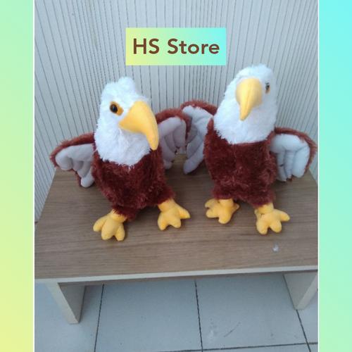 510 Gambar Burung Elang Keren HD Terbaik