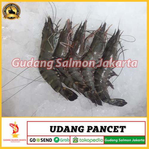 Jual Udang Pancet Kecil Size 50 1000gr 1kg 1 Kg Isi 50 Ekor Jakarta Utara Gudang Salmon Jakarta Tokopedia