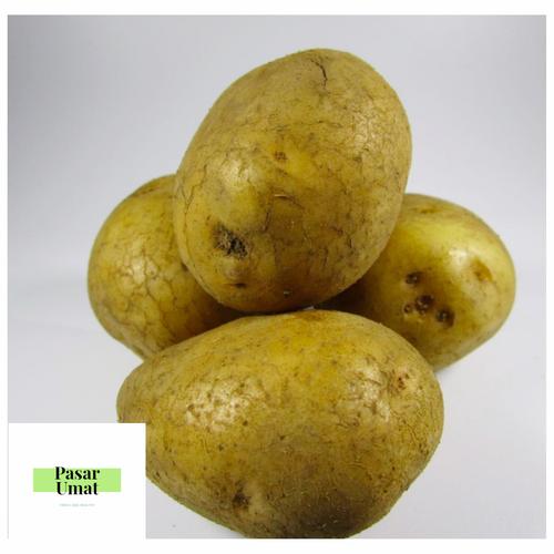 Foto Produk Kentang Dieng 1 kg/Kentang Dieng Besar /Kentang 1 kg dari PasarUmat