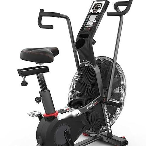 Schwinn Airdyne Pro, Air Bike second 