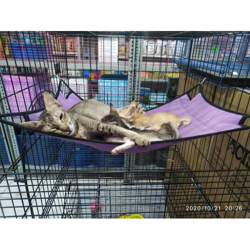 Foto Produk Ayunan kucing / hammock kucing dari AMMAR BIRD SHOP