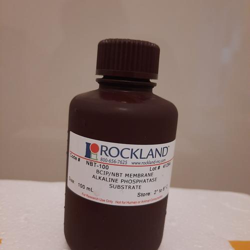 Jual BCIP / NBT Membrane Alkaline Phosphatase 100mL - Kota Malang ...