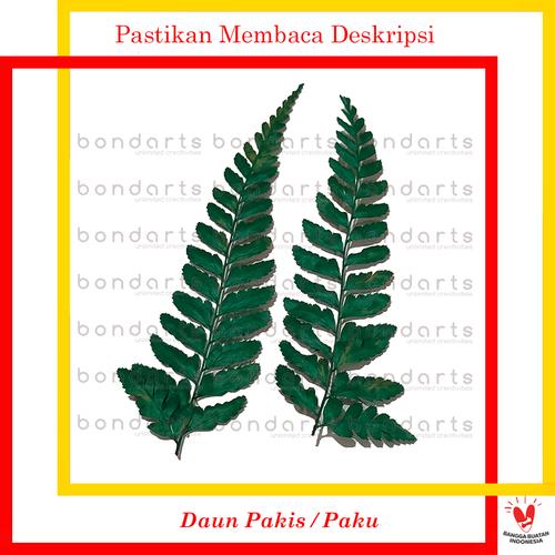 Foto Produk Daun Pakis Hijau dari BONDARTS.