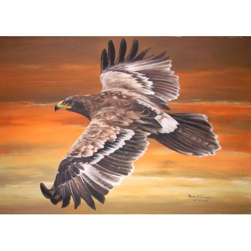 65 Koleksi Gambar Burung Elang Terbang HD Terbaru