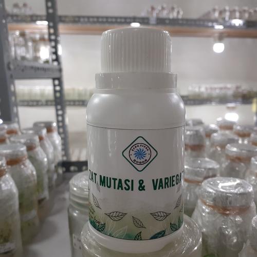 Foto Produk Formula Zat Mutasi dan Variegata / Formula Gabungan dari Esha Flora