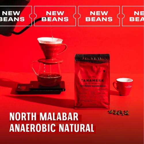 Foto Produk NORTH MALABAR ANAEROBIC NATURAL 100G, BIJI KOPI TANAMERA COFFEE - Whole Beans dari Tanamera Coffee