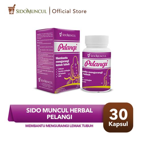 Foto Produk Sido Muncul Pelangi 30 Kapsul Chitosan - Mengikat Lemak Pencernaan dari Sido Muncul Store
