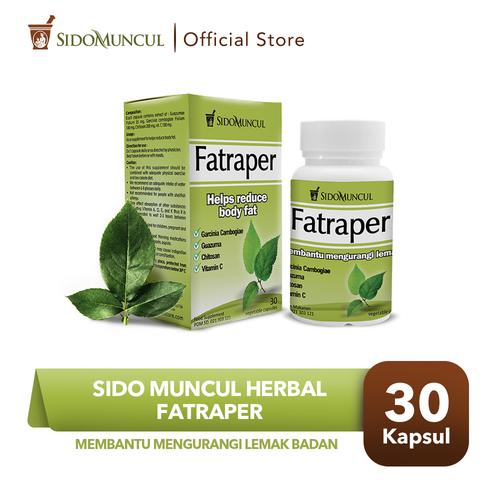 Foto Produk Sido Muncul Fatraper 30 Kapsul - Mengikat Lemak Tubuh Berat Badan dari Sido Muncul Store