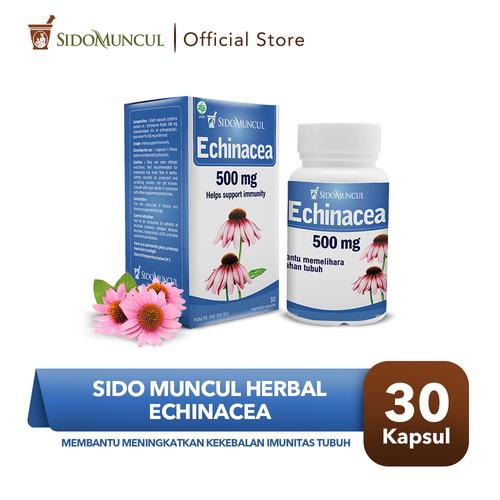 Foto Produk Sido Muncul Herbal Echinacea 30 Kapsul - Kekebalan Imunitas Tubuh dari Sido Muncul Store