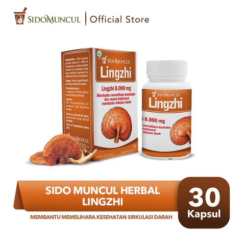 Foto Produk Sido Muncul Herbal Lingzhi 30 Kapsul - Menghambat Sel Tumor Kanker dari Sido Muncul Store