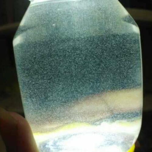 Foto Produk infusoria pakan burayak cupang umur 4 hari/artemia kultur dari SERPONG HOBIES
