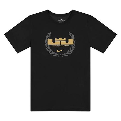 Jual T-Shirt / Baju / Kaos Nike Lebron 