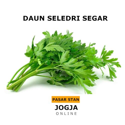 Jual Daun Seledri Segar 1 4 Kilo Pasar Stan Harga Pasar Kab Sleman Pasar Stan Jogja Tokopedia