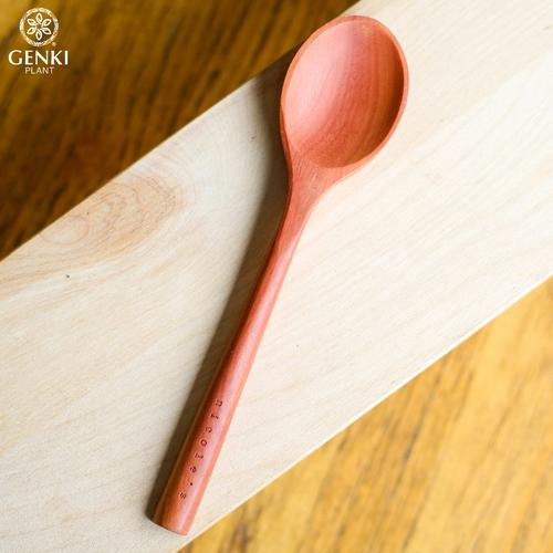 Foto Produk Nicole's Wooden Spoon (Medium) dari Genki Plant