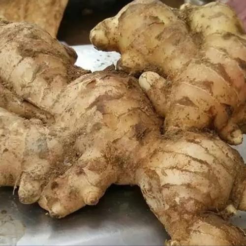 Foto Produk Jahe Gajah / Jahe Putih Segar 500 gram dari Orlin2672