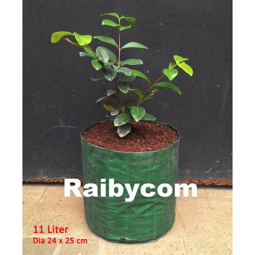 Foto Produk Planter Bag 11 Liter Easy Grow Planterbag Pohon Buah Tanaman Sayur NH dari Raibycom