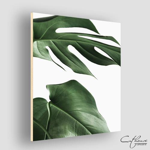jual wdg031 monstera home wall decor hiasan dinding tanaman janda bolong monstera 1 kab. jember cuthouse indonesia tokopedia jual wdg031 monstera home