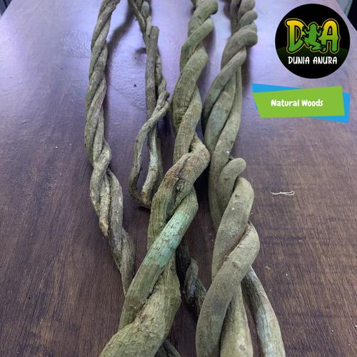 Foto Produk Jungle Vine dari Dunia Anura