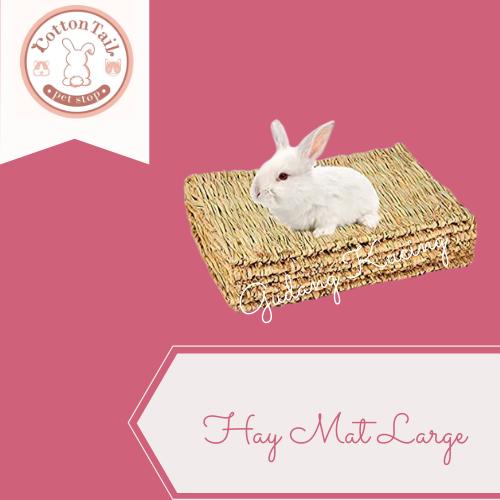 Jual Hay Mat Large / alas kandang bahan rumput timothy - Jakarta 