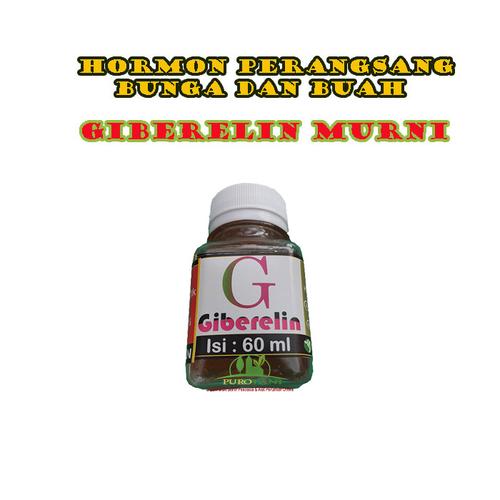 Gambar Giberelin Murni Gibberelin Murni Giberlin Hormon Pemacu Bunga Buah dari Purotani.ID Kab. Purworejo Tokopedia