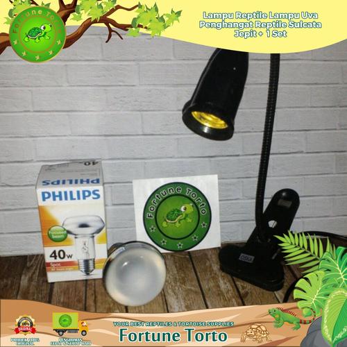 Foto Produk Lampu Reptile/Lampu UVA-Penghangat Reptile/Sulcata/Jepit+ 1set dari Fortune Torto
