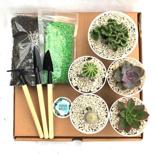 nursery starter package