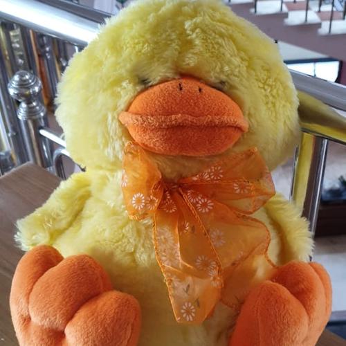 Jual Boneka Bebek Jumbo Bulu Cute Kota Surabaya B Fluf Tokopedia