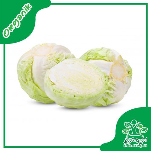 Gambar Fresh Kol Putih Segar Organik - SayurKendal - 1000gr dari Sayur Kendal - Menteng Jakarta Pusat Tokopedia