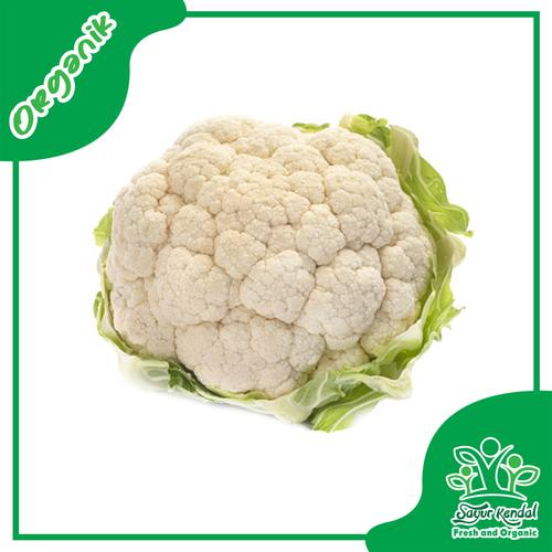 Gambar Fresh Kembang Kol Segar Organik - SayurKendal - 1000gr dari Sayur Kendal - Menteng Jakarta Pusat Tokopedia