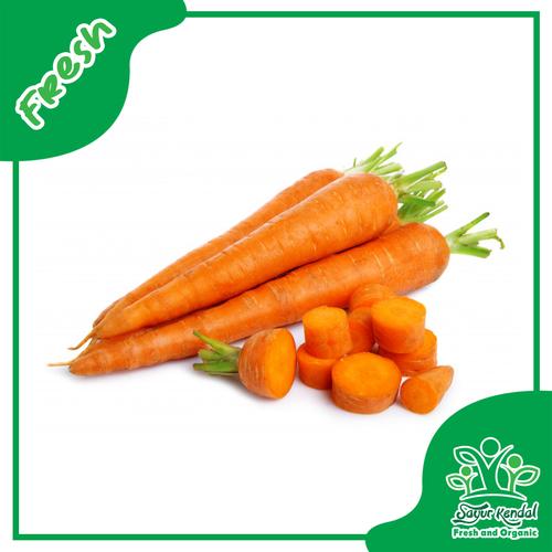 Gambar Fresh Wortel Segar Organik - SayurKendal - 250gr dari Sayur Kendal - Menteng Jakarta Pusat Tokopedia