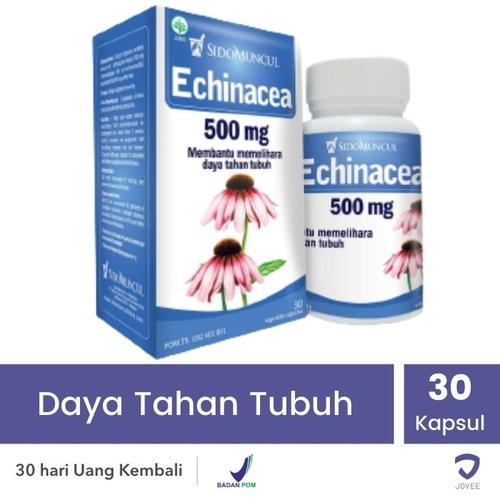 Foto Produk SIDOMUNCUL ECHINACEA 500 MG - 30 KAPLET - Daya Tahan Tubuh dari Jovee