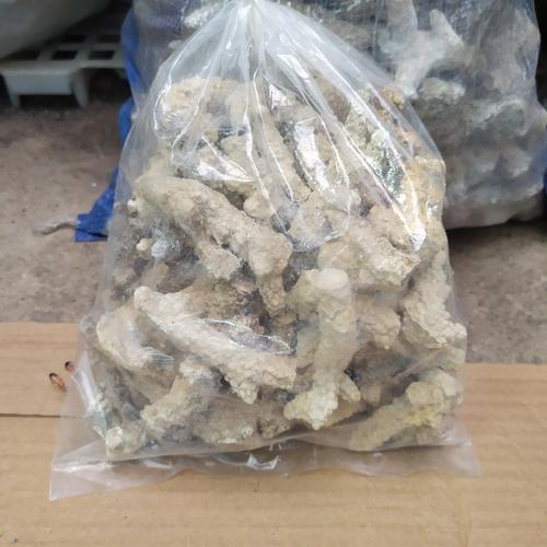 Jual karang Jahe Media Filter kolam (1kg) Menaikan PH Air Kota Bekasi