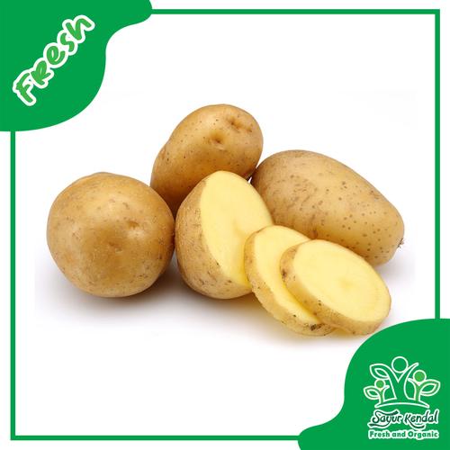Gambar Fresh Kentang Segar Organik - Sayur Kendal - 500gr dari Sayur Kendal - Menteng Jakarta Pusat Tokopedia