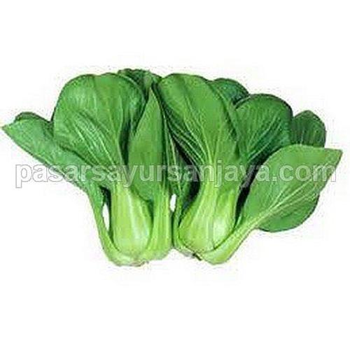 Jual Baby Kailan Sayur Baby Kailan Kab Sidoarjo Pasar Sayur Sanjaya Tokopedia