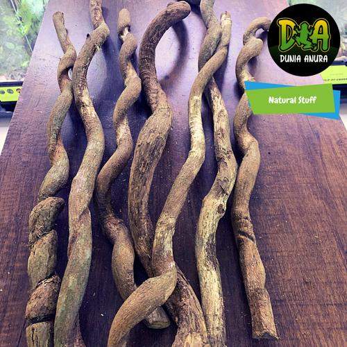 Foto Produk Kayu hardscape vivarium dari Dunia Anura