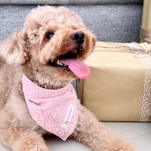 Foto Produk PREMIUM BATIK CAP PASTEL PET BANDANA (ANJING DAN KUCING) - Dusty Pink, S dari Mandaka Pet Accessories