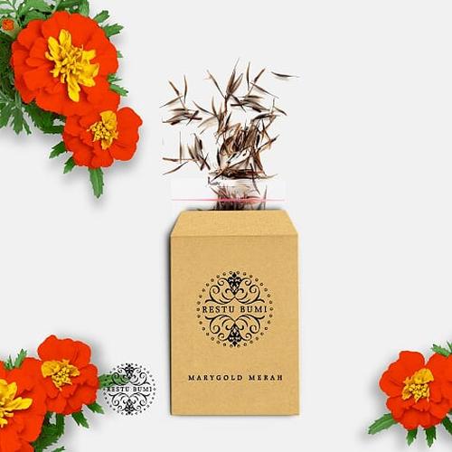 Foto Produk Benih Bunga Merigold Merah - 100 Biji dari RESTU BUMI PERTIWI
