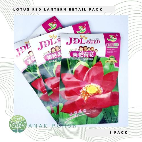 Foto Produk ( 1 PACK ) Benih Lotus Seroja Nelumbo nucifera Red Lantern Retail Pack dari Anak Pohon