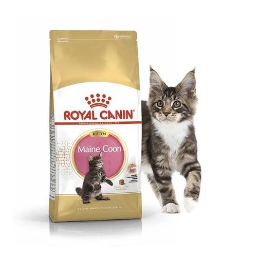 Foto Produk Makanan Kucing / Cat Food ROYAL CANIN MAINE COON KITTEN 4 KG dari Sandika Petshop