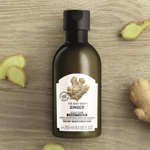 Jual The Body Shop GINGER Conditioner 250ml Dry Scalp and Weak Hair Kota Tangerang Selatan