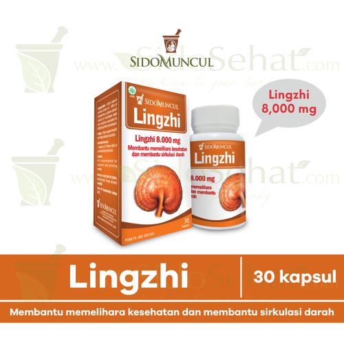 Foto Produk Lingzhi Sidomuncul Membantu Sirkulasi Darah dari SidoSehat