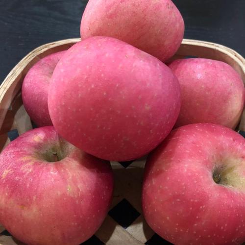 Foto Produk Buah Apel Fuji RRC Premium - Fresh dari Halona Utama