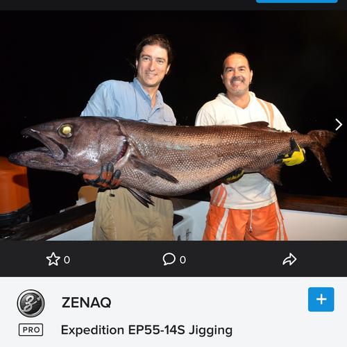ゼナック エクスペディション EP55-14 Jigging ZENAQ Expedition EP55
