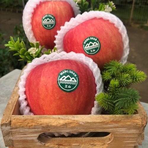 Foto Produk Buah Apel Fuji Wangshan Premium - Fresh segar dari Halona Utama