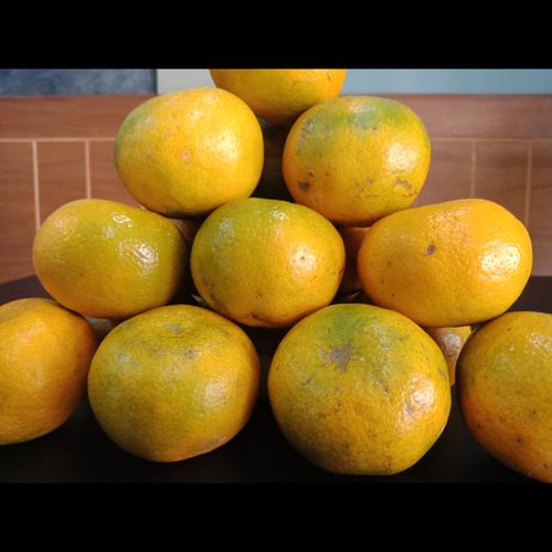 Foto Produk Buah Jeruk Medan Manis Fresh - Segar dari Halona Utama