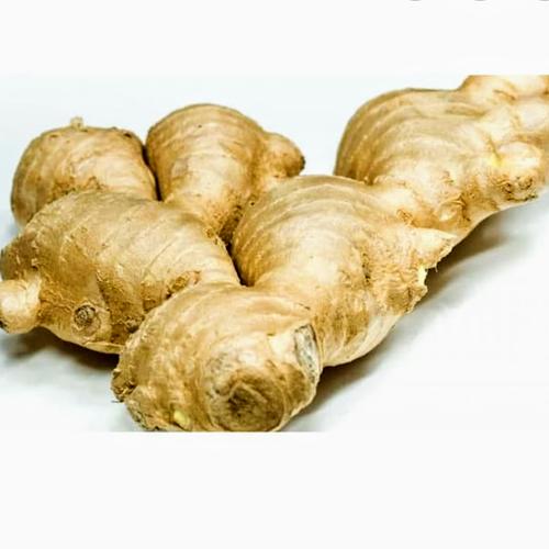 Foto Produk Jahe Putih dari fitri sayur