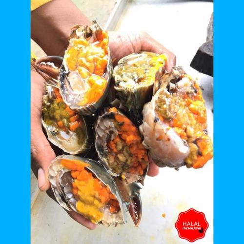 Gambar Kepiting Telur Hidup Segar 1kg isi 4-5 berat 200-250gr per ekor dari Halal Fresh Food Market Kota Surabaya Tokopedia