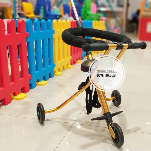 Jual Paso Push Trike Sepeda Roda Tiga 